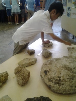 hands on fossils 2